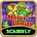 3cardfly Turbo v2.4.9
