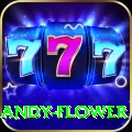 andy flower Max Pro v2.2.2