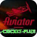 bbl cricket Gold APK v4.8.0