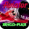 bingo Gold Pro v3.3.6