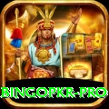 bingopkr - Prime Earning App