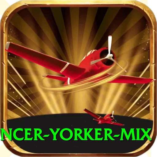 bouncer yorker mix Plus v4.7.6 - 2