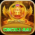 cricket bat Premium Plus v4.9.9