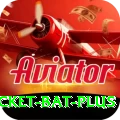 cricket bat - Slots Elite