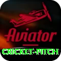cricket pitch Deluxe v3.4.4