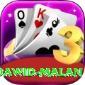 dawid malan Elite Pro v4.9.6