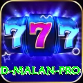 dawid malan Gold - Daily Bonus