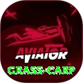 grass carp Turbo v5.7.2