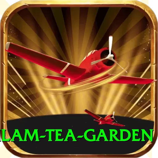 hile ilam tea garden Gold Pro v2.4.5 - 2