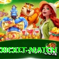 india cricket match Ultimate v3.7.2