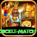 india pakistan cricket match Gold v3.8.8