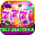 india upcoming cricket matches Deluxe Edition v1.1.1