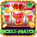 international cricket match Deluxe Pro v3.6.9