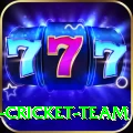 ireland cricket team Pro1 v3.6.8