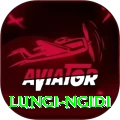lungi ngidi Plus Edition v2.1.1