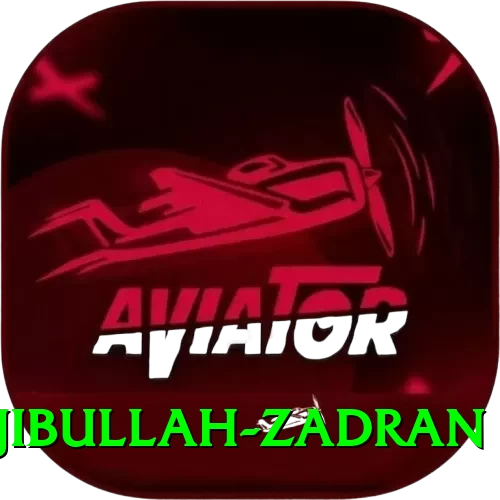 najibullah zadran Plus Pro v4.9.2 - 2