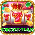 netherlands cricket team VIP Pro v2.3.3