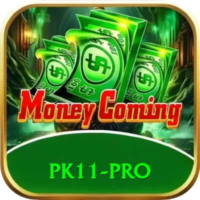 pk11 Casino Official v3.3.9 - 2