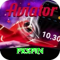 pkspin Turbo Pro vv5.0.7