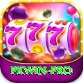 pkwin VIP Edition v5.9.8