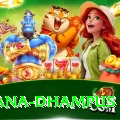 pothana dhampus Deluxe Pro v4.5.6