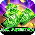responsible gambling pakistan Games (Casino & Earning) Plus v5.6.1