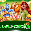 risk free bet cricket Plus Pro v1.2.6