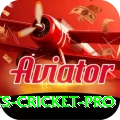 sports cricket Game Champion v5.3.7