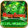 steve waugh Plus Pro v4.0.0