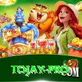 tojay Master Pro v3.1.1