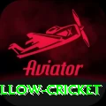 willow cricket Premium Plus v2.6.4