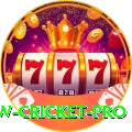 willow cricket Elite v1.4.4