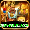 yasim murtaza Plus Pro v2.9.3