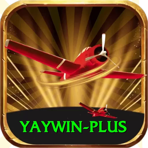 yaywin Deluxe Pro v2.0.1 - 2